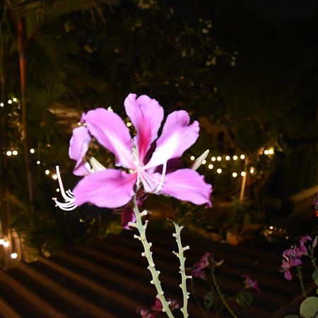 Thongtara House Boutique Srinakarin Hotel Bangkok Bagian luar foto